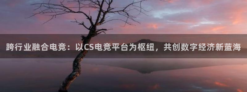 完美电竞直播：跨行业融合电竞：以CS电竞平台为枢纽，共创数字经济新蓝海
