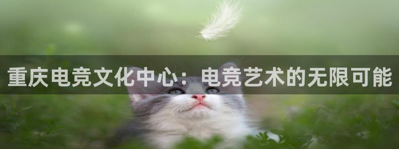 完美电竞手机app：重庆电竞文化中心：电竞艺术的无限可能