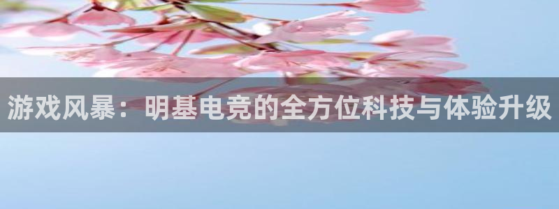 完美电竞平台官网：游戏风暴：明基电竞的全方位科技与体验升级