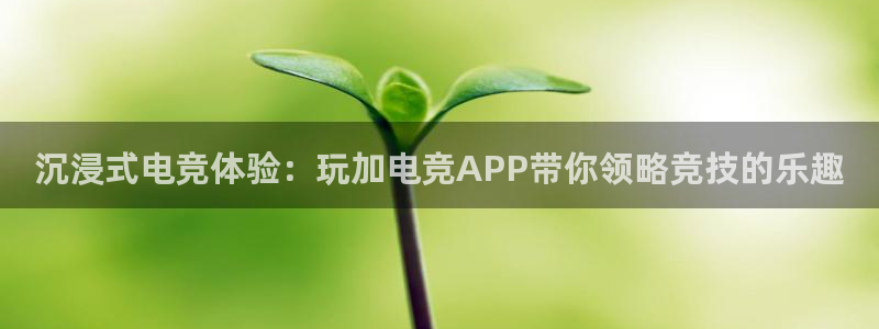 完美电竞平台官网网址：沉浸式电竞体验：玩加电竞APP带你领略竞技的乐趣