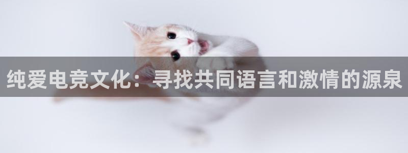 完美电竞下载：纯爱电竞文化：寻找共同语言和激情的源泉
